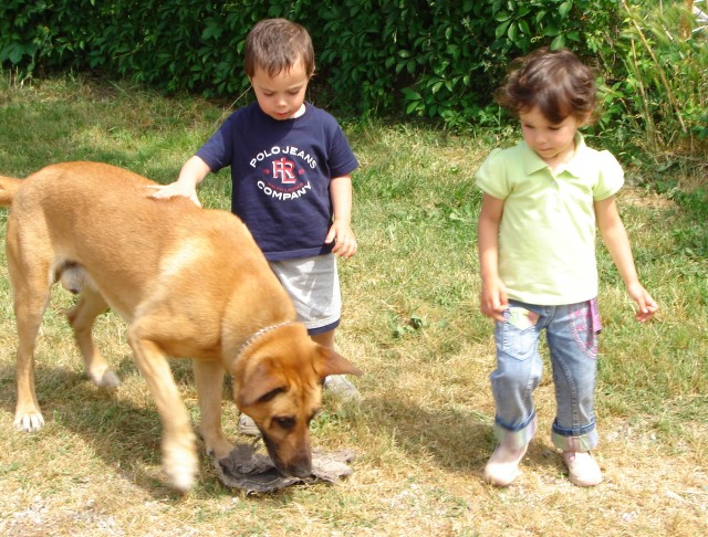 Clicca per vedere l\'immagine originale