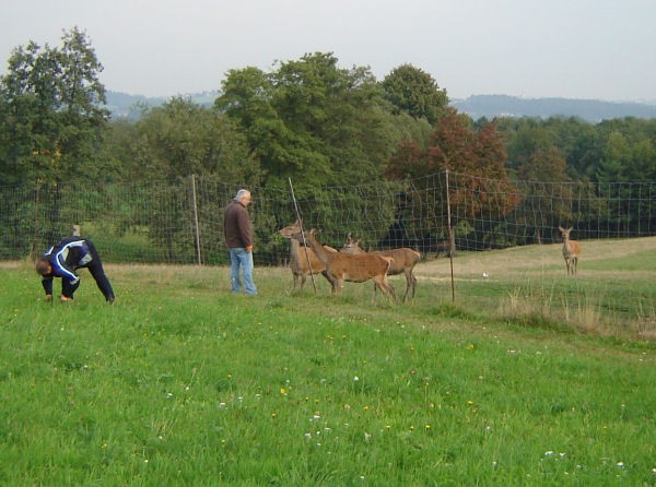 Foto successiva