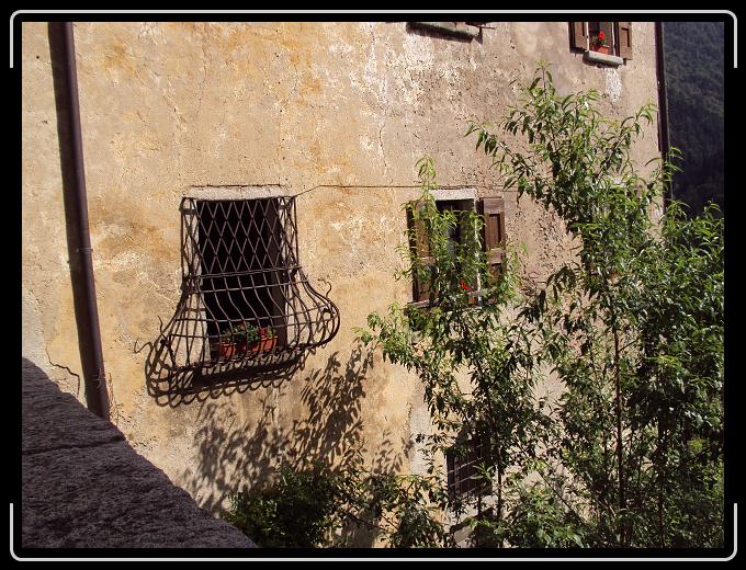 Foto successiva