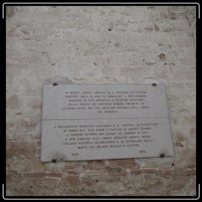 Foto successiva