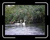 DISCESA12-056 * 3648 x 2736 * (2.32MB)